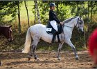 MP Stable39